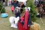 Thumbs/tn_Castlefest Wintereditie 2015 zondag 040.jpg